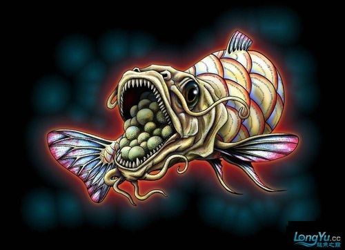 龍魚表情包有哪些：龍圖表情包大集合