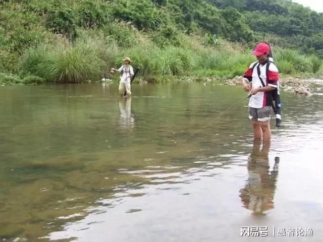 飛蠅假餌的釣魚成功率如何：《原神》飛蠅鉤釣魚成功率因目標(biāo)魚種、水域環(huán)境及操作技巧而異