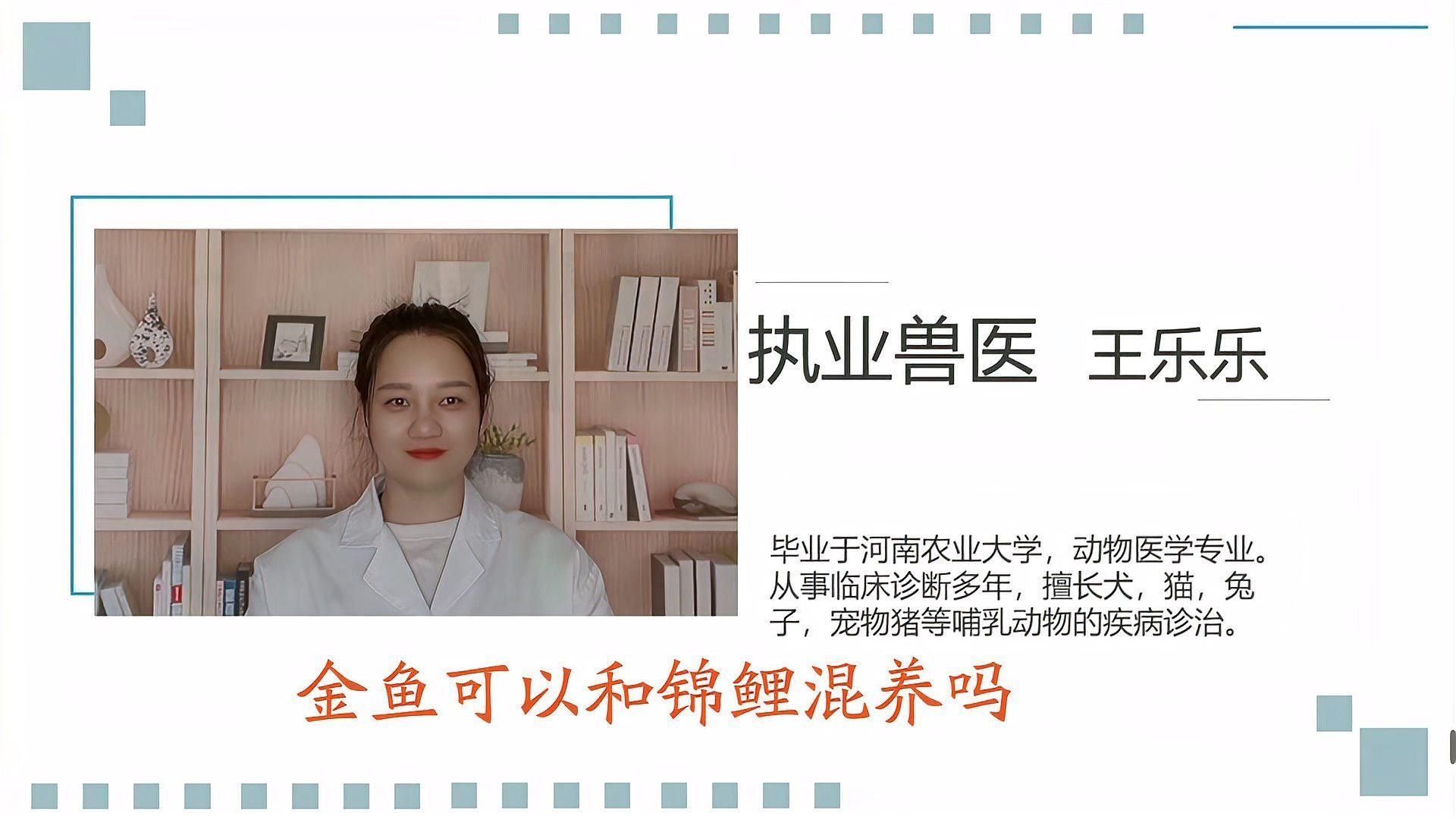 金魚和錦鯉混養(yǎng)需要注意什么：金魚和錦鯉混養(yǎng)的利與弊全解析金魚和錦鯉混養(yǎng)的利與弊