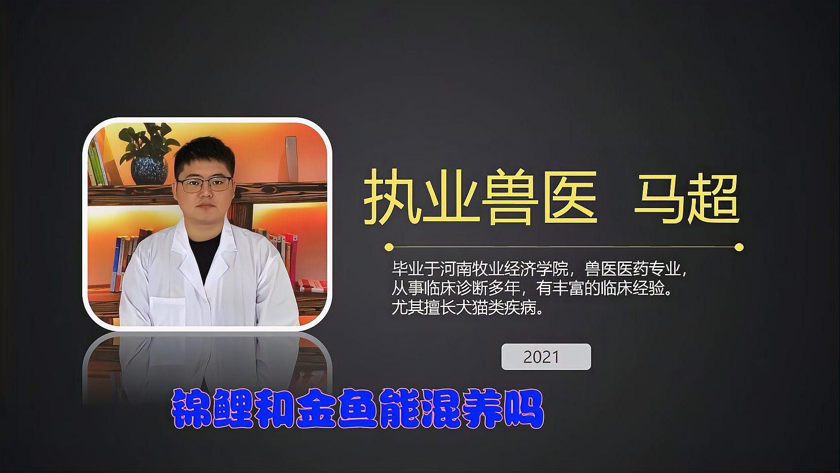 金魚和錦鯉混養(yǎng)需要注意什么：金魚和錦鯉混養(yǎng)的利與弊全解析金魚和錦鯉混養(yǎng)的利與弊
