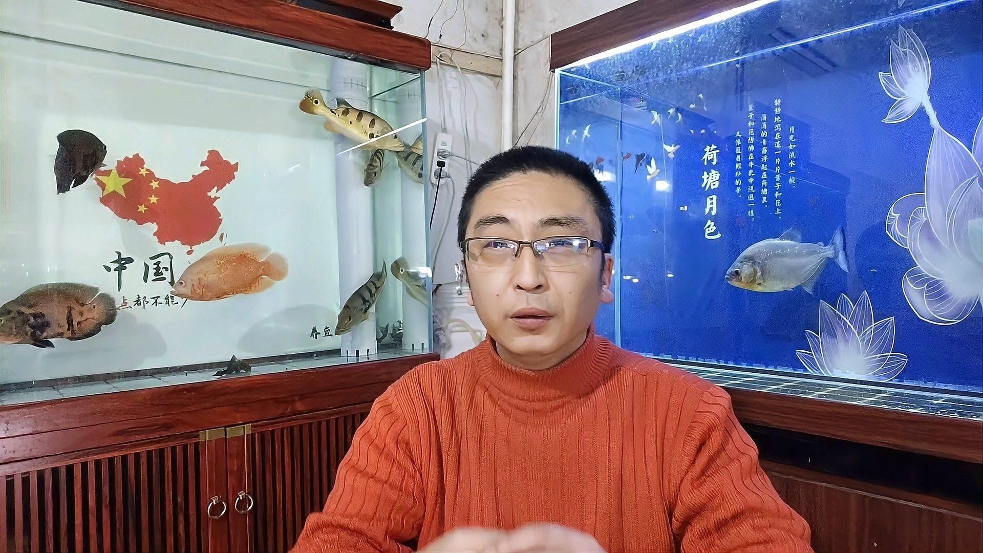 金魚和錦鯉混養(yǎng)需要注意什么：金魚和錦鯉混養(yǎng)的利與弊全解析金魚和錦鯉混養(yǎng)的利與弊