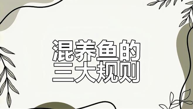 混養時需要注意哪些常見問題：觀賞魚混養的注意事項