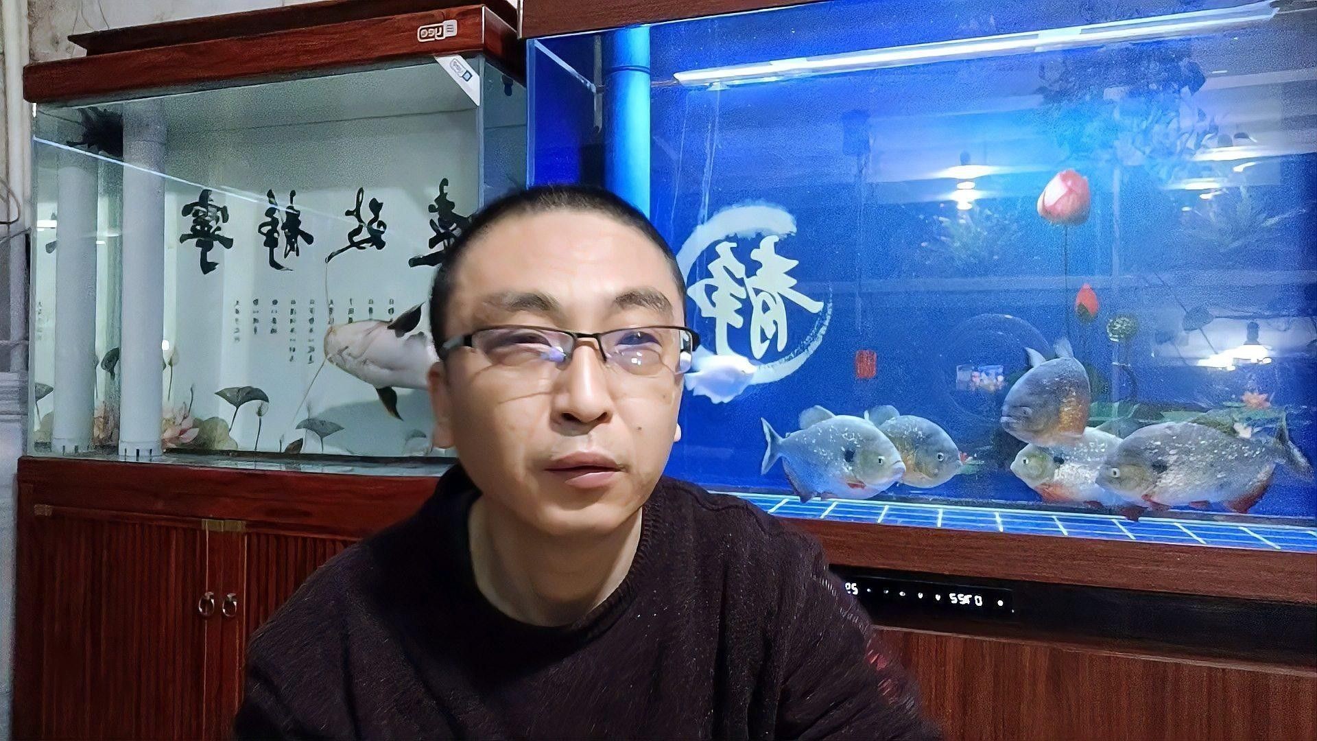 混養時需要注意哪些常見問題：觀賞魚混養的注意事項
