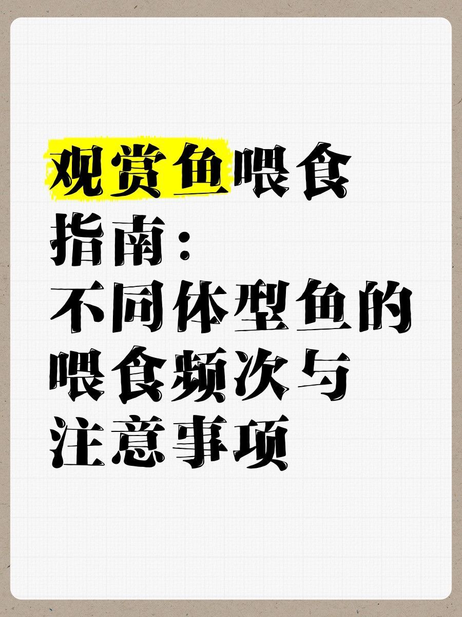 招財貓魚多久喂一次合適？：招財貓魚吃什么
