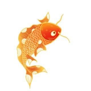紅福龍魚壁紙下載鏈接：下載紅福龍魚壁紙的方法