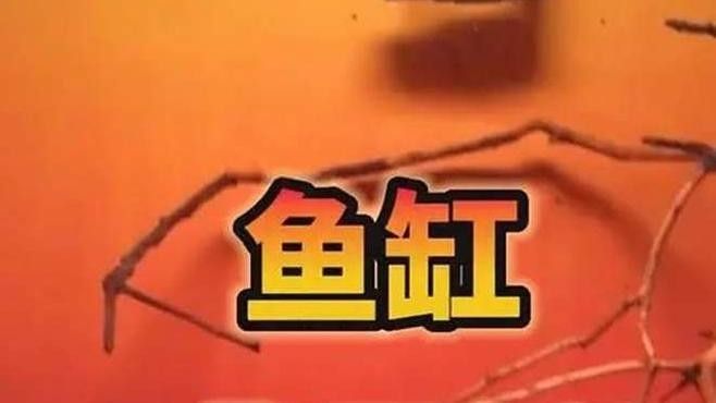 給我推薦一些金龍魚魚缸背景貼紙：金龍魚魚缸背景貼紙推薦
