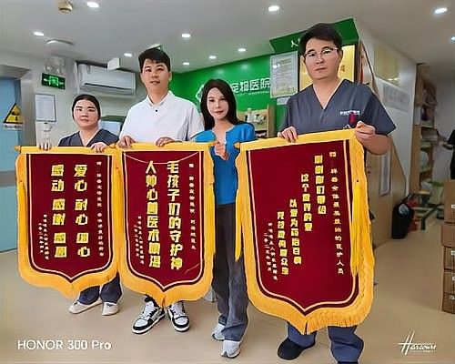 如何判斷龍貓是否需要就醫：如何判斷龍貓需要就醫