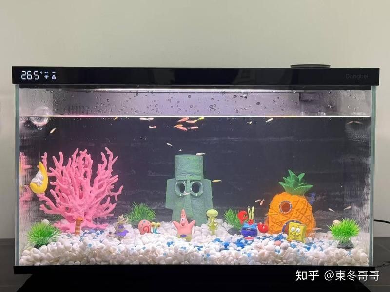 推薦幾款性價比高的龍魚缸：2025年高性價比龍魚缸品牌排行榜京東龍魚缸排行榜 推薦幾款性價比高的龍魚缸：2025年高性價比龍魚缸品牌排行榜京東龍魚缸排行榜 龍魚百科 第1張