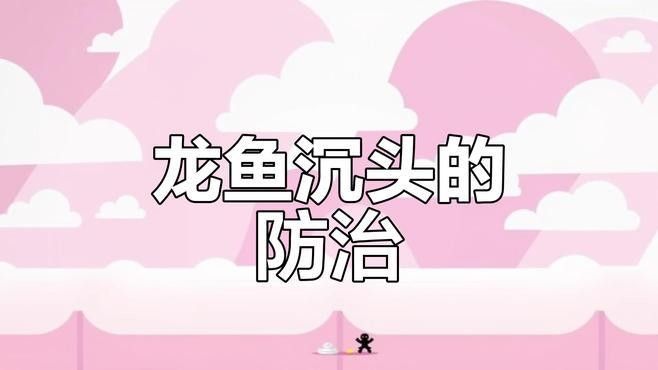 龍魚沉頭癥多久會死亡：龍魚沉頭癥的原因及應對方法