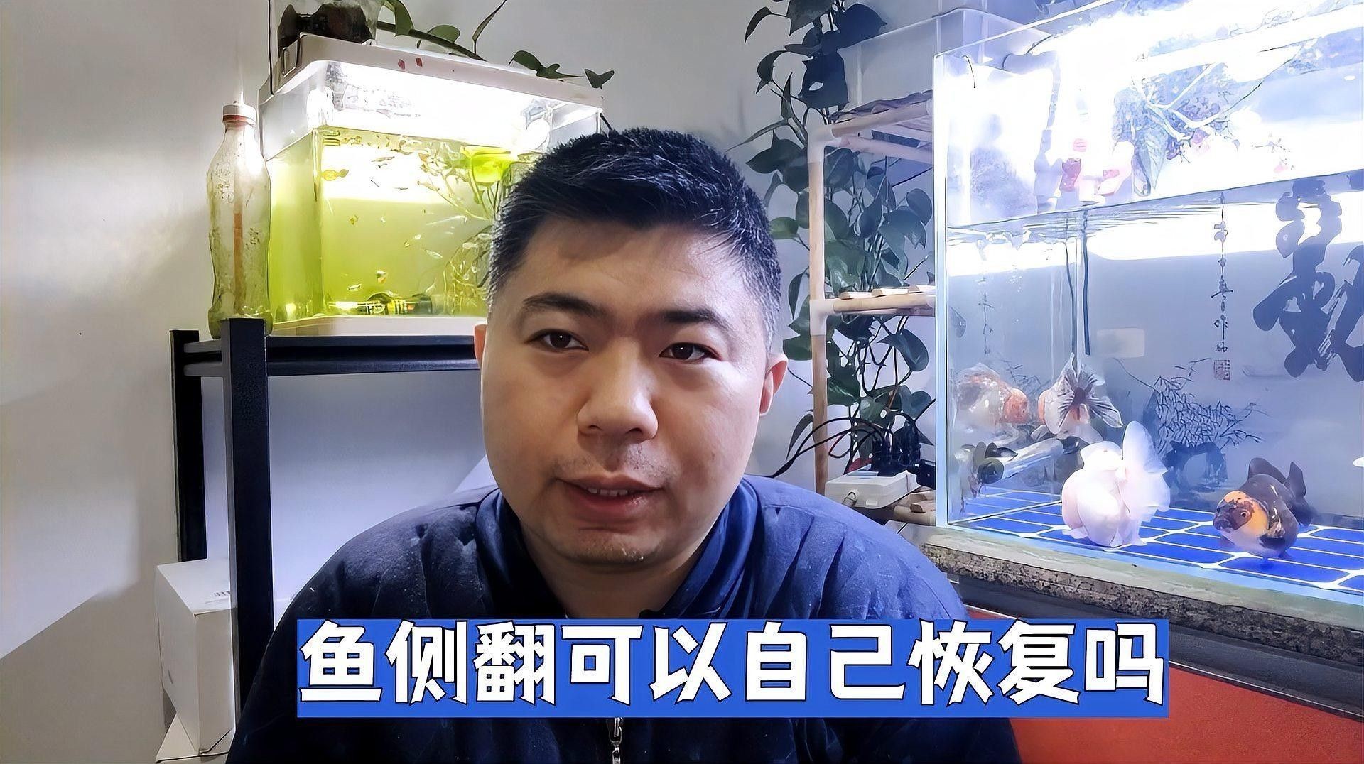 龍魚身體傾斜會自愈嗎？：龍魚身體傾斜怎么辦