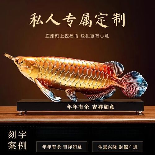 紅金龍魚的市場價格是多少？：紅金龍魚的市場價格
