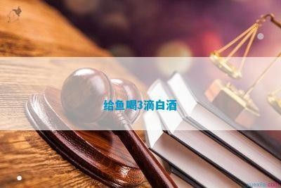 龍魚喝什么茶水最好：龍魚喝什么茶水好