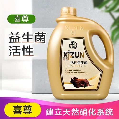 開封龍魚出售信息：開封地區與龍魚相關的出售信息