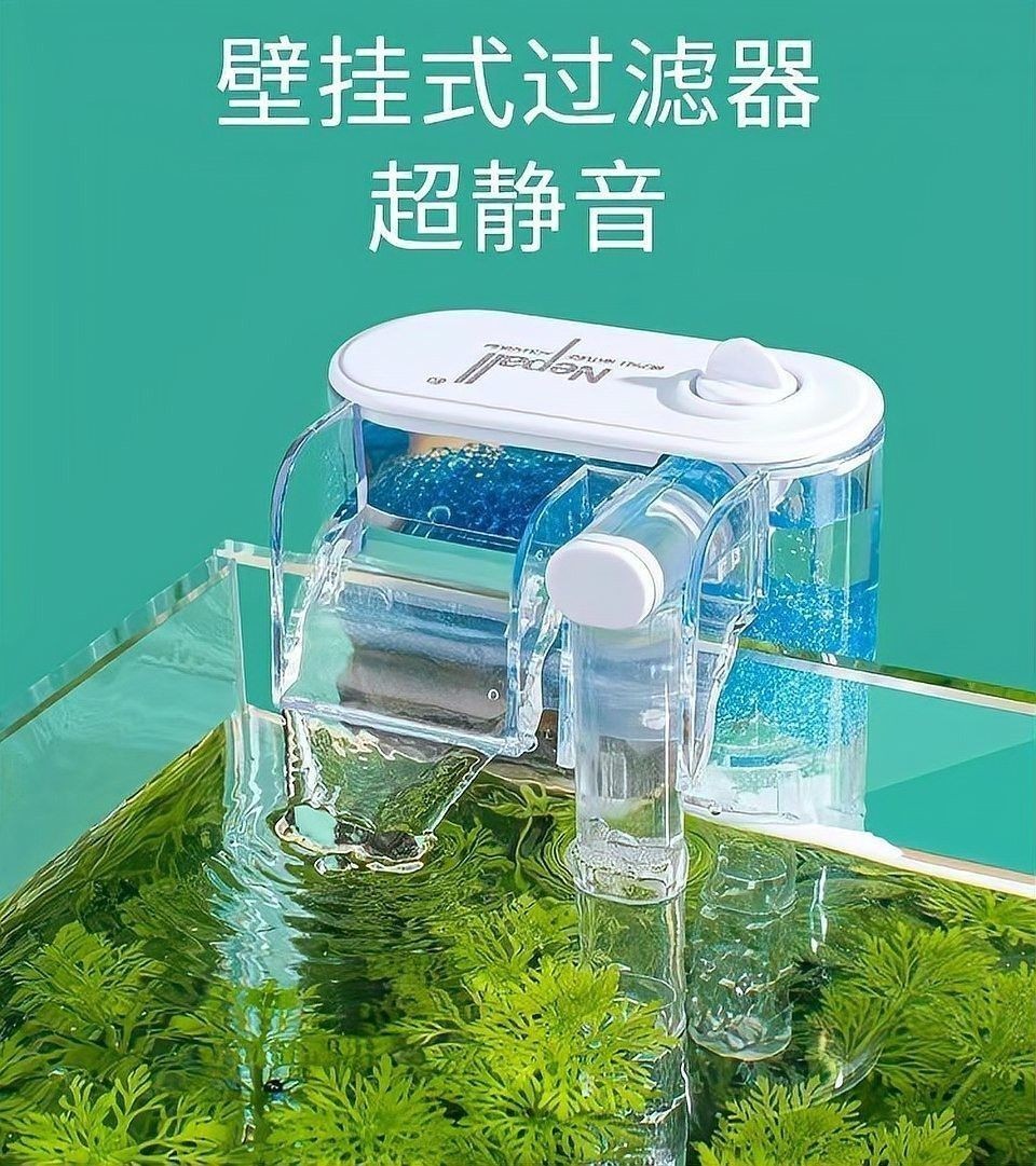 60的魚缸養龍魚需要多大的功率過濾器：60厘米魚缸過濾器功率如何選擇公式