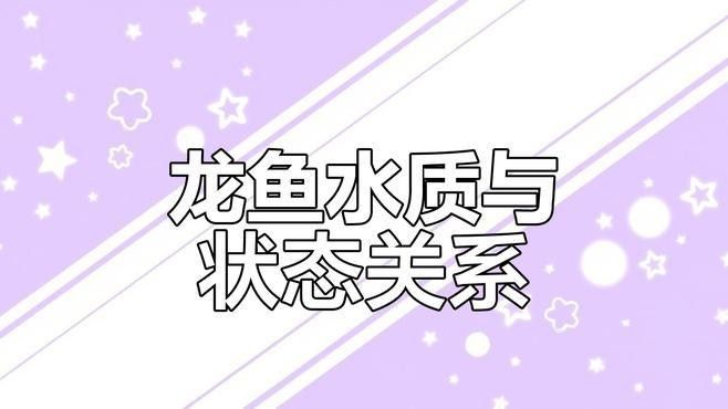 如何設置藍底過背金龍的過濾系統：如何設置藍底過背金龍的過濾系統，藍底過背金龍的過濾系統