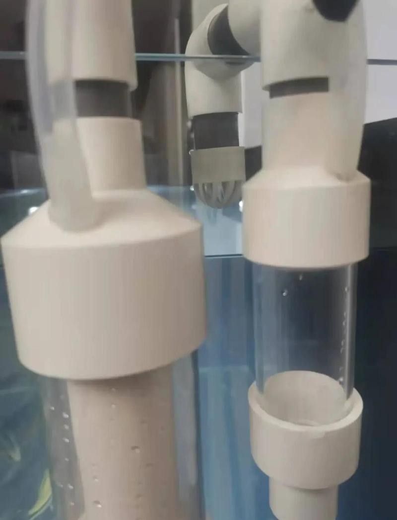 如何設置藍底過背金龍的過濾系統：如何設置藍底過背金龍的過濾系統，藍底過背金龍的過濾系統