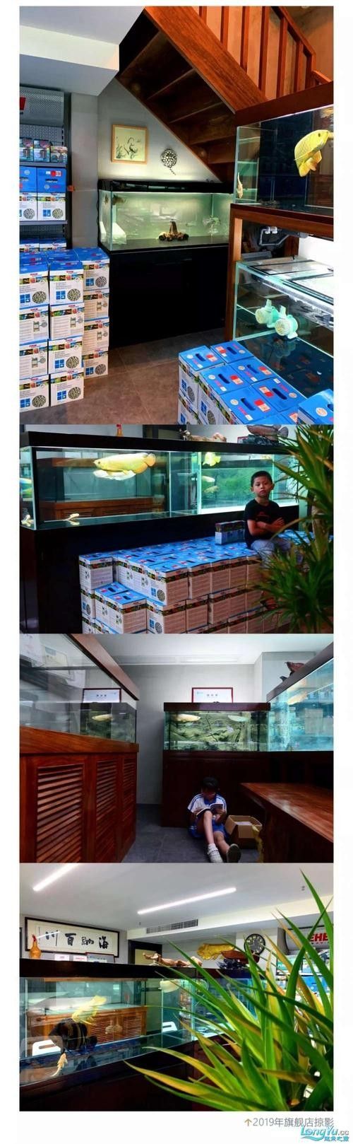 如何聯系哈爾濱龍魚商店：哈爾濱龍魚商店怎么聯系