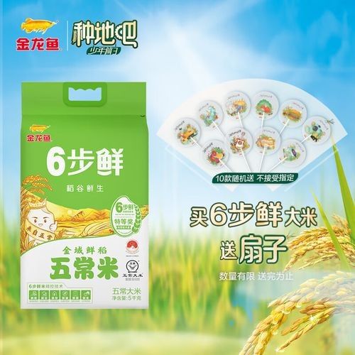 金龍魚批發價格有優惠嗎：金龍魚批發價格是否有優惠