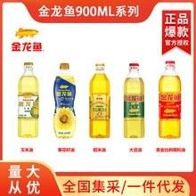 金龍魚批發價格有優惠嗎：金龍魚批發價格是否有優惠