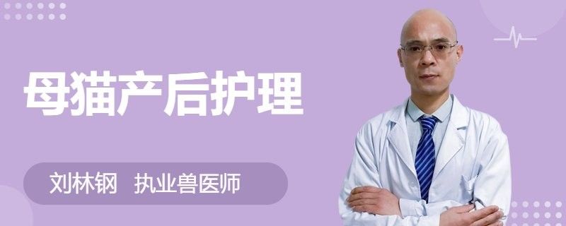 龍貓產(chǎn)后多久可以洗澡？：龍貓產(chǎn)后多久可以洗澡
