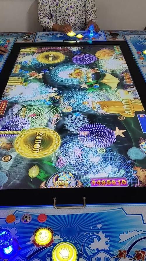 藍底高背金龍魚適合新手嗎？：藍底高背金龍魚怎么選藍底高背金龍魚飼養(yǎng)全攻略