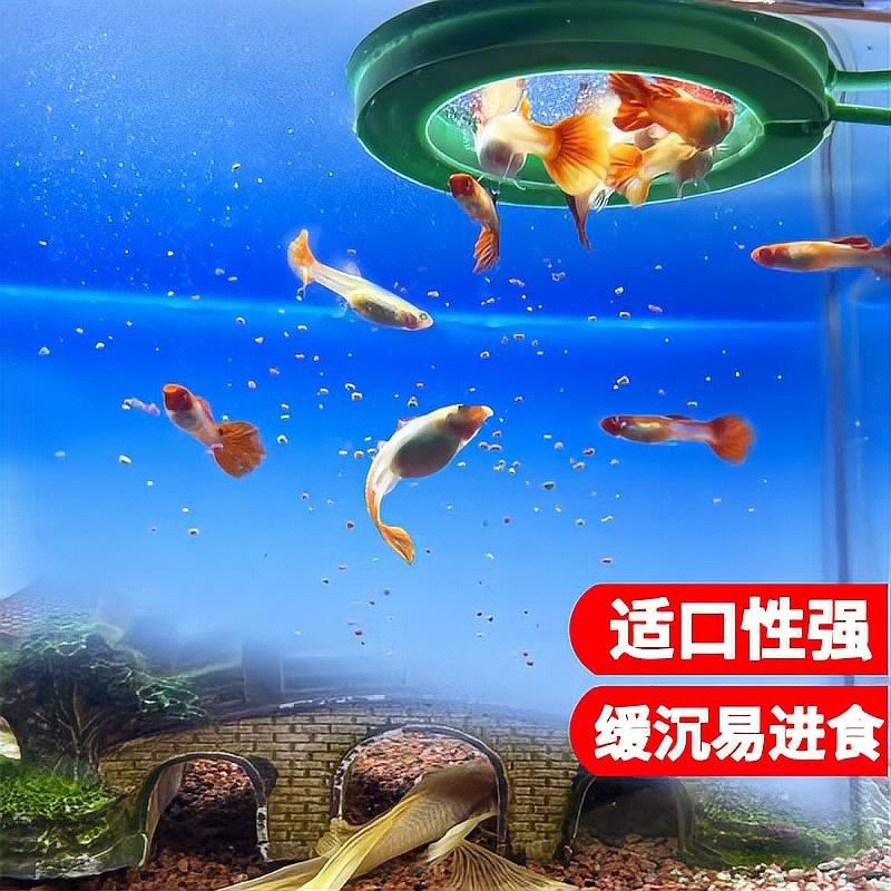 孔雀龍魚(yú)如何發(fā)色？：孔雀魚(yú)的發(fā)色機(jī)制