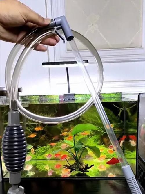 森森和CRAZY PLANT哪個更耐用：森森與crazyplant哪個更適合大型魚缸？