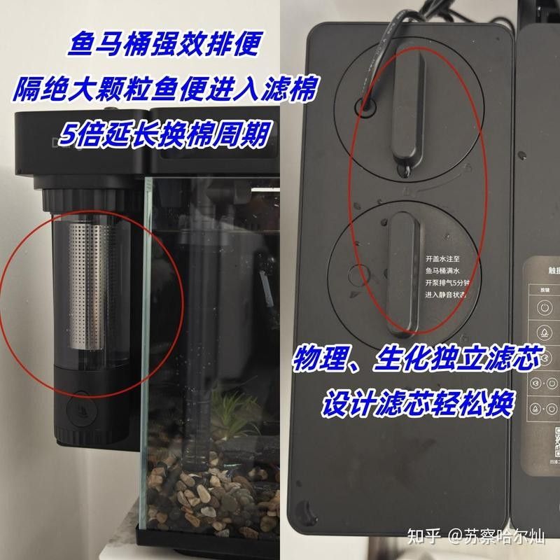 森森和CRAZY PLANT哪個更耐用：森森與crazyplant哪個更適合大型魚缸？