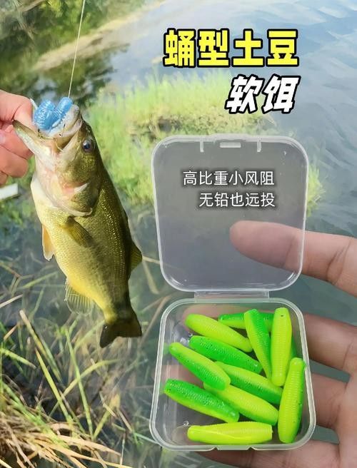 雷龍魚的最佳釣法：小水釣魚雷龍路亞新手必學技巧一分鐘搞定小潤肌手記 雷龍魚的最佳釣法：小水釣魚雷龍路亞新手必學技巧一分鐘搞定小潤肌手記 龍魚百科 第1張