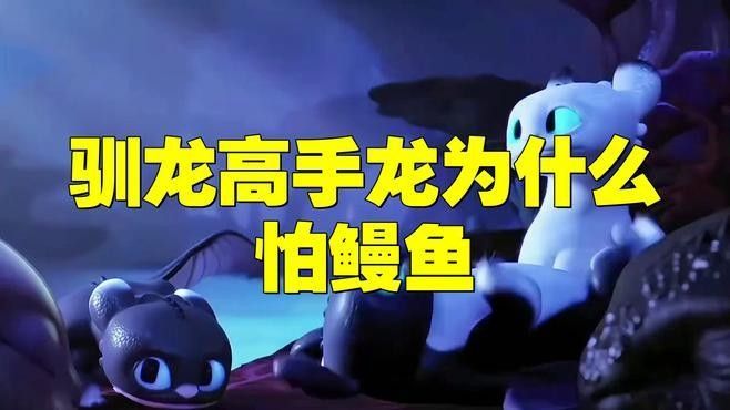 哪些工具魚會攻擊曼龍？：愛養love寵物，主動攻擊其他魚類的幾種常見觀賞魚