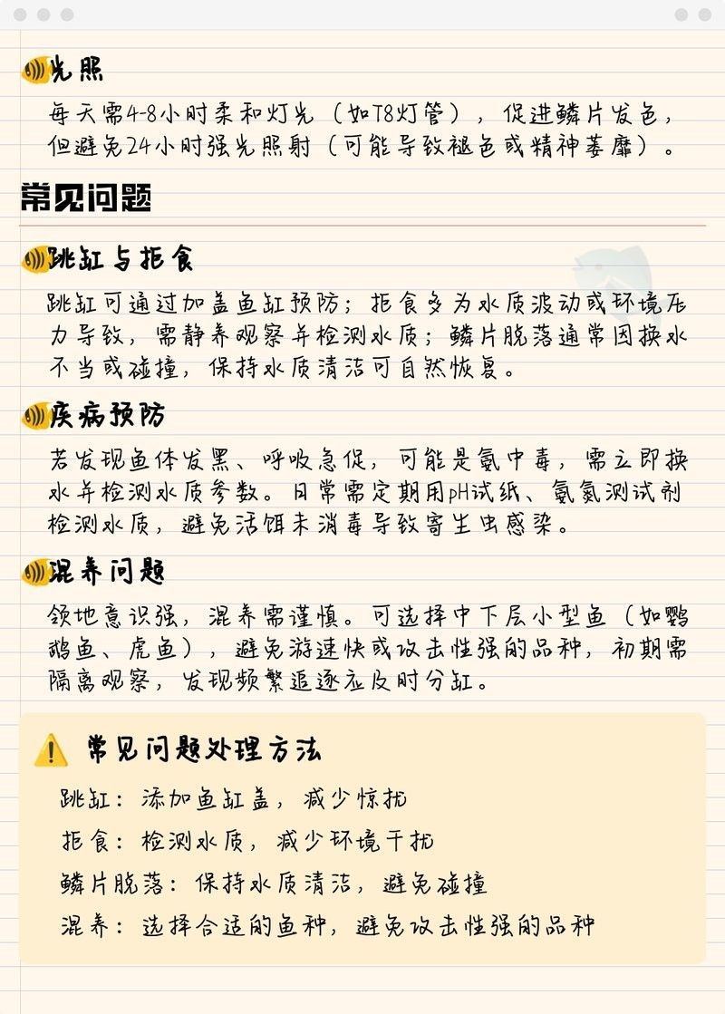哪個線上平臺批發金龍魚魚苗最可靠：如何找到一個可靠的線上批發平臺