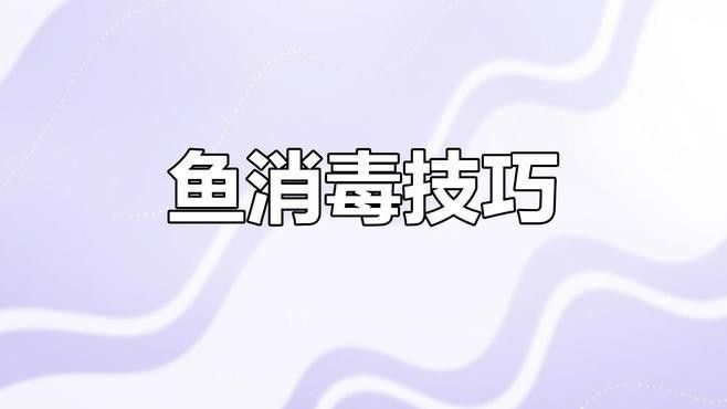 如何給雷龍魚消毒？：如何給雷龍魚消毒
