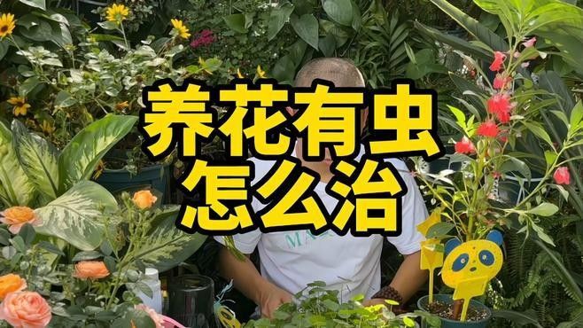 如何確保活餌無寄生蟲？：如何確保活餌無寄生蟲