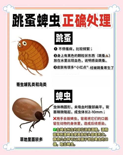 如何確保活餌無寄生蟲？：如何確保活餌無寄生蟲