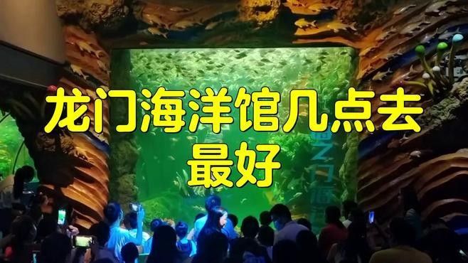 鳳岡哪個水族館龍魚好？祥龍魚場龍魚：鳳岡哪個水族館祥龍魚場 鳳岡哪個水族館龍魚好？祥龍魚場龍魚：鳳岡哪個水族館祥龍魚場 龍魚百科 第7張