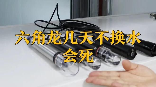 龍魚浮頭不換水會死嗎？：養魚的魚缸如果不經常換水,魚會出現“浮頭”現象