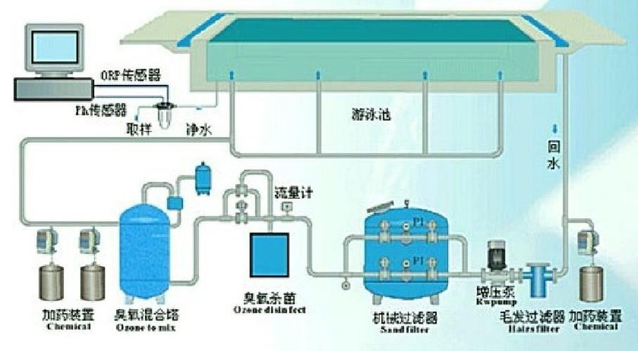如何選擇適合混養的藍鯊魚：混養藍鯊魚需要注意什么？