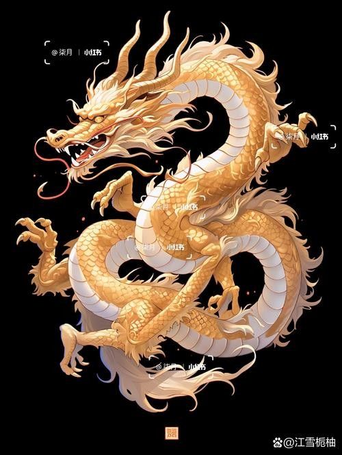 哪里可以找到3D立體金龍圖片：3d立體金龍圖片預(yù)覽，3d立體金龍圖片預(yù)覽組件