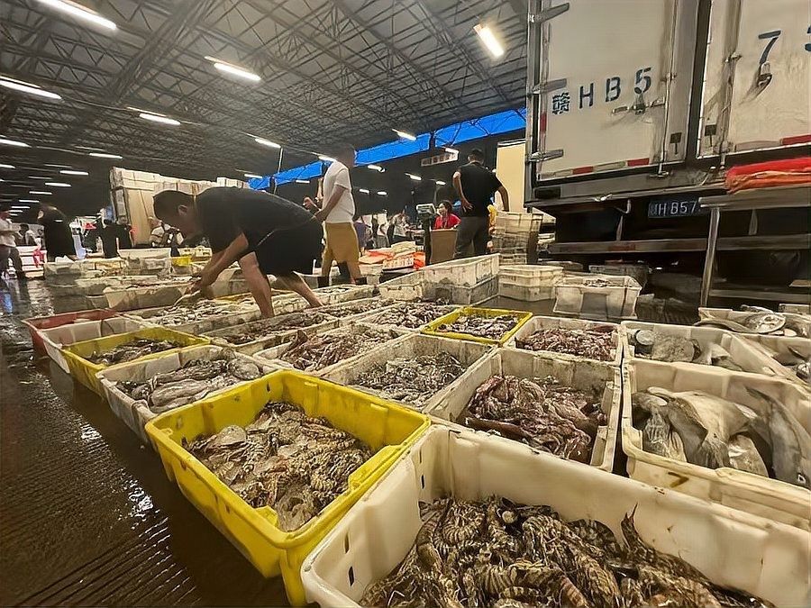 寧波龍魚批發(fā)市場的價格如何：關(guān)于寧波龍魚批發(fā)市場的價格分析 寧波龍魚批發(fā)市場的價格如何：關(guān)于寧波龍魚批發(fā)市場的價格分析 龍魚百科 第9張