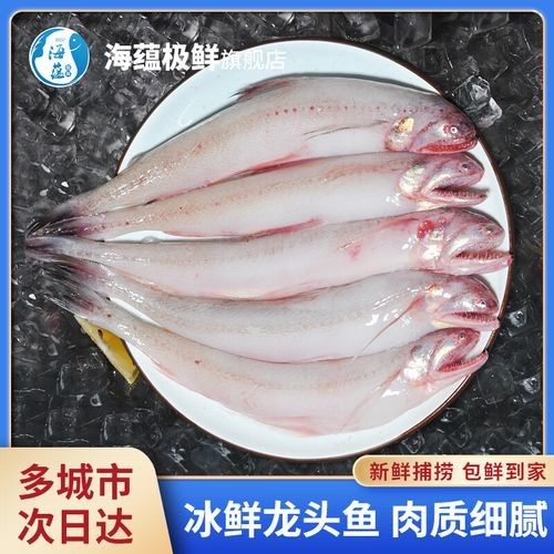 寧波龍魚批發(fā)市場的價格如何：關(guān)于寧波龍魚批發(fā)市場的價格分析 寧波龍魚批發(fā)市場的價格如何：關(guān)于寧波龍魚批發(fā)市場的價格分析 龍魚百科 第6張