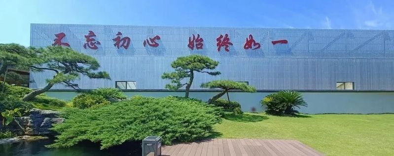 寧波龍魚批發(fā)市場的價格如何：關(guān)于寧波龍魚批發(fā)市場的價格分析 寧波龍魚批發(fā)市場的價格如何：關(guān)于寧波龍魚批發(fā)市場的價格分析 龍魚百科 第7張