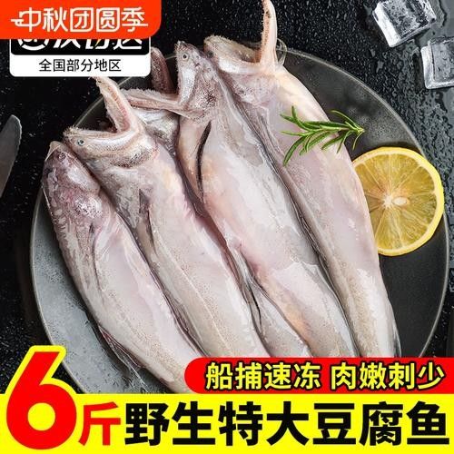 寧波龍魚批發(fā)市場的價格如何：關(guān)于寧波龍魚批發(fā)市場的價格分析 寧波龍魚批發(fā)市場的價格如何：關(guān)于寧波龍魚批發(fā)市場的價格分析 龍魚百科 第1張