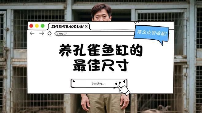 孔雀魚混養(yǎng)需要多大的魚缸？：孔雀魚混養(yǎng)的最佳尺寸是多少