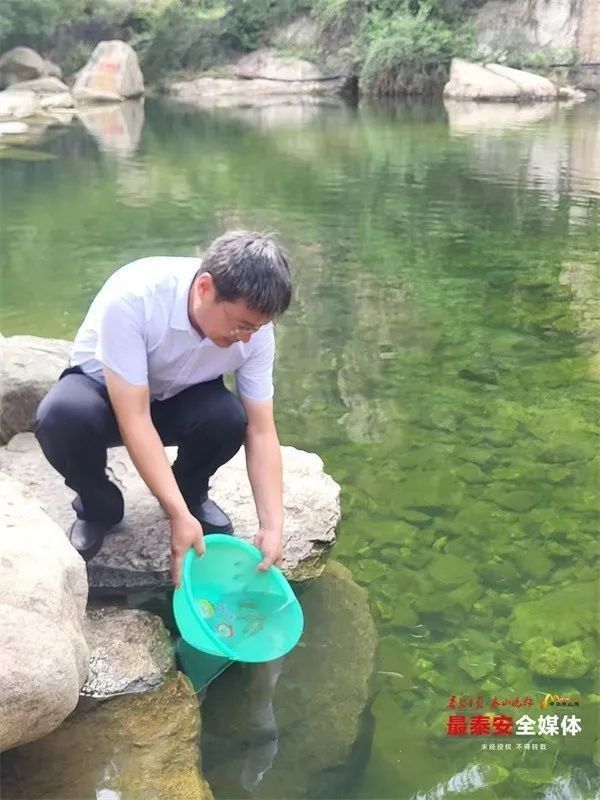 泰安龍魚批發有哪些品種：泰安地區龍魚批發市場