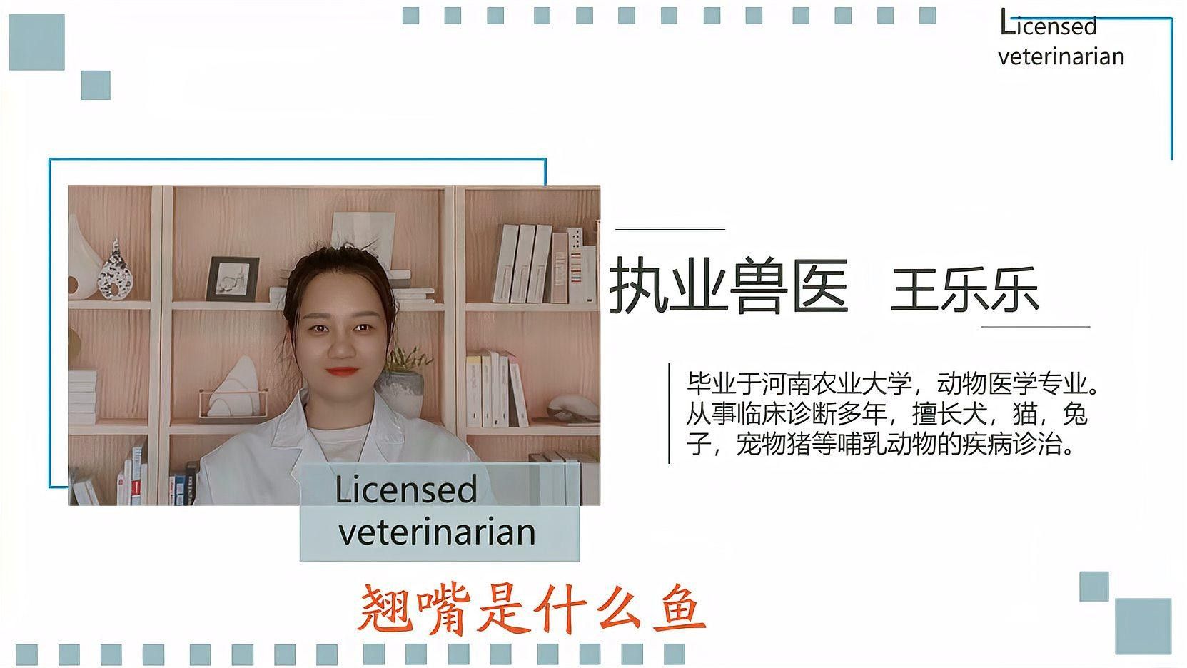 高背金龍魚用什么顏色的燈光好呢，高背金龍魚用什么顏色的燈光好