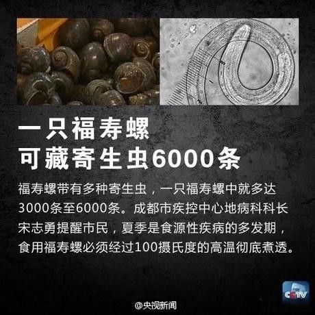 如何預(yù)防紅龍魚(yú)感染寄生蟲(chóng)？：紅龍魚(yú)寄生蟲(chóng)感染寄生蟲(chóng)的10個(gè)關(guān)鍵措施，做好了你也是高手隨筆