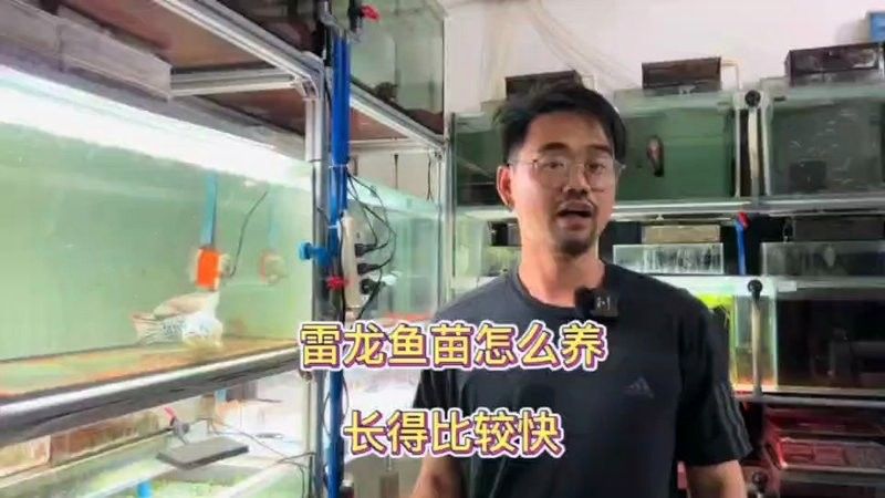 哪些人群適合食用五河龍魚，五河龍魚適合多種人群食用，適合高血壓患者的食用指南
