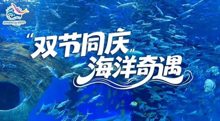 贛州哪個(gè)水族館龍魚(yú)好？祥龍魚(yú)場(chǎng)龍魚(yú)：贛州極地海洋世界海洋世界游玩攻略-攜程攻略
