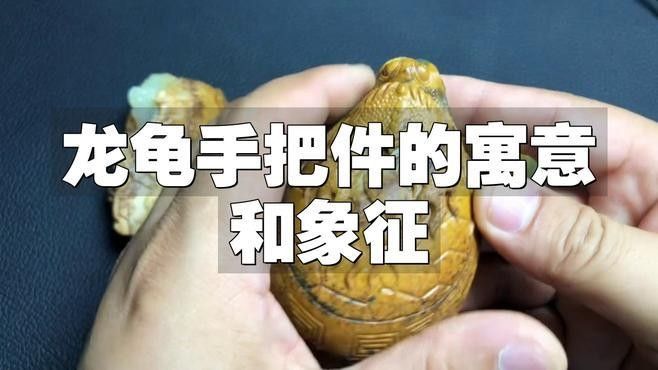 龍龜珠寶文玩有哪些種類：常見的龍龜珠寶文玩種類 龍龜珠寶文玩有哪些種類：常見的龍龜珠寶文玩種類 龍魚百科 第7張