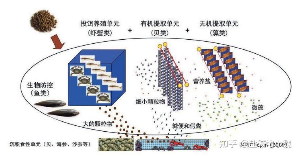 黃山龍魚有哪些經典作品？，當代著名畫家薛九州經典作品清單薛九州經典作品清單